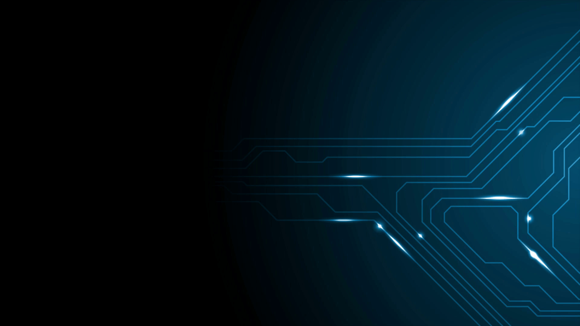 Our Services Portfolio